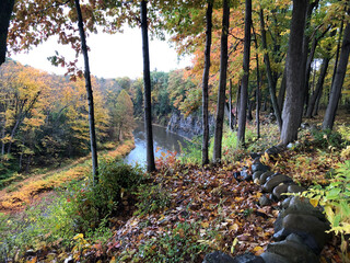 autumn forest canyon river East Aurora NY 4
