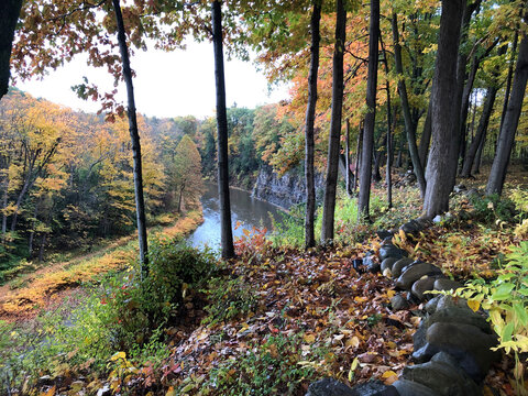 autumn forest canyon river East Aurora NY 4