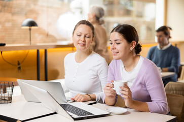 Two focused women drinking coffee while working on laptop in cozy cafe