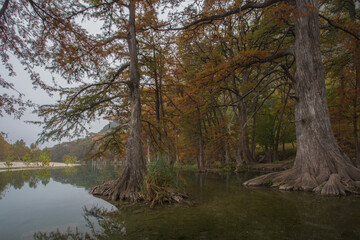 Fototapeta na wymiar trees and river in autumn