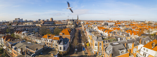 Panorama of Hague - seat of government of the Netherlands - on a sunny day. High quality photo