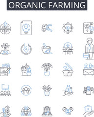 Organic farming line icons collection. Authority, Accountability, Transparency, Democracy, Policy, Regulation, Power vector and linear illustration. Leadership,Oversight,Decision-making outline signs - obrazy, fototapety, plakaty