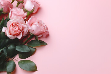 roses on pink background with copy space