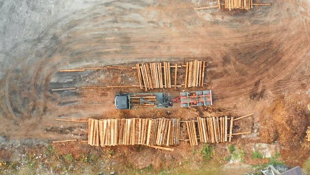 Loader puts wooden logs of felled forest trees in long rows in rural sawmill yard. Workers control operation of heavy machinery aerial view