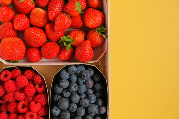 Assorted berries set. Summer berry harvest. Strawberries, raspberries, blueberries, berries...