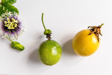 Yellow and green passion fruit on white background