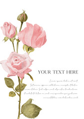 simple invitation with pink rose watercolor