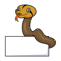 Cute golden child reticulated python cartoon with blank sign