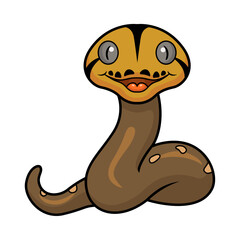 Cute golden child reticulated python cartoon