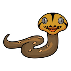 Fototapeta premium Cute golden child reticulated python cartoon