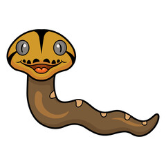 Cute golden child reticulated python cartoon