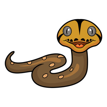 Cute golden child reticulated python cartoon