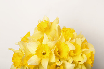 Bouquet of beautiful yellow daffodils on beige background, closeup