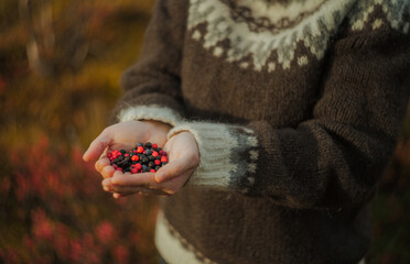 Handful of picked blueberries and cranberries