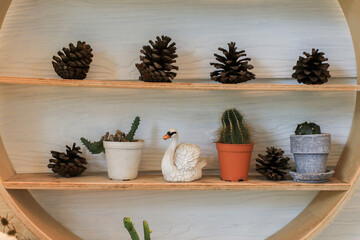 Wooden shelves with beautiful house plants against the background of a white wall. Home garden interior filled a lot of cacti, succulents, air plant in different design pots.