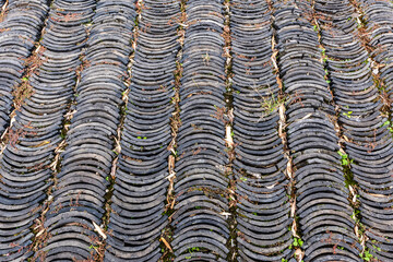 roof tiles in the city