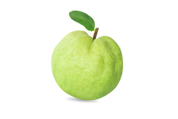 Fresh guava fruit isolated on white background, healthy concept