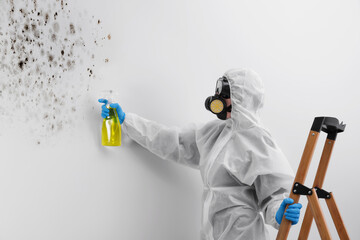 Woman in protective suit and rubber gloves using mold remover on wall