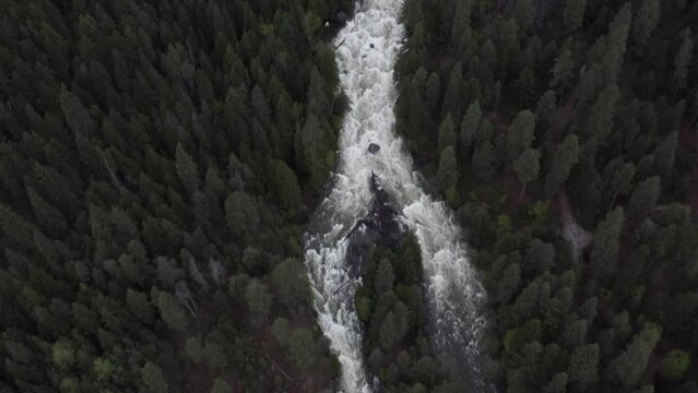 Flying over River in a forest upstream pan up to the mountains