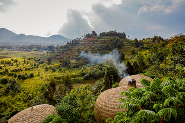 Rwanda volcanoes national park