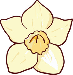 daffodil png graphic clipart design