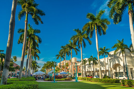 Boca Raton is a city on the southeast coast of Florida, known for its golf courses, parks, and beaches. likewise for its luxurious stores and malls. It is one of the most prosperous cities in the Stat