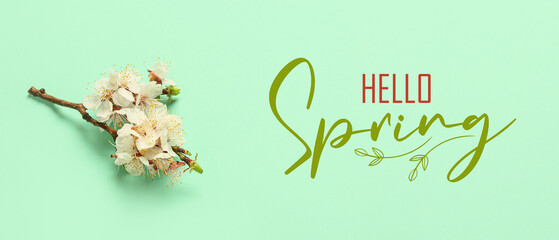 Banner with text HELLO SPRING and beautiful blossoming tree branch