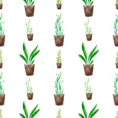 indoor plants in pots, ficus, pattern, watercolor