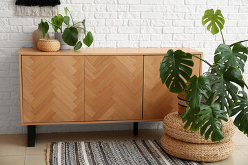 Wooden chest of drawers with houseplants in room