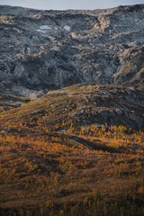 Telephoto shot of a mountain landscape of arctic northern scandinavia in a peak of autumn colors