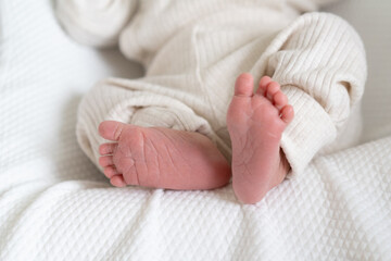 cute photo with the legs of a newborn baby. Soft light background. a place for your text. The...