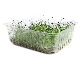 Obraz premium Plastic container with fresh micro green on white background