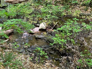 Fototapeta premium Nature photos, trail photos, outdoor nature photos