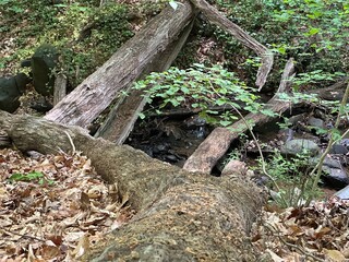 Nature photos, trail photos, outdoor nature photos