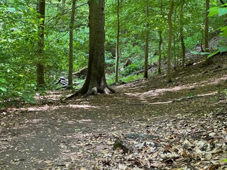 Nature photos, trail photos, outdoor nature photos