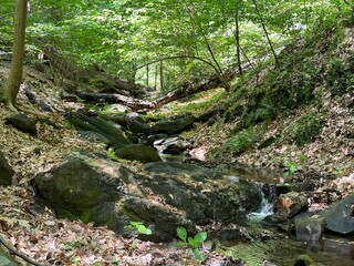 Nature photos, trail photos, outdoor nature photos