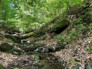 Nature photos, trail photos, outdoor nature photos