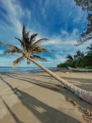 Obraz premium playas en veracruz