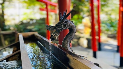 来宮神社　赤鳥居と龍の手水舎 - obrazy, fototapety, plakaty