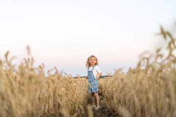 Naklejka na ściany i meble a little blonde curly girl running in a wheat field, the concept of human freedom