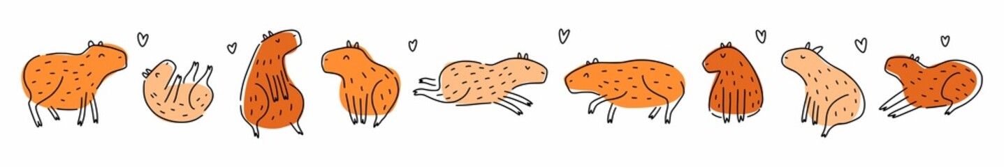 Horizontal illustration of the capybara collection, hand-drawn in doodle style