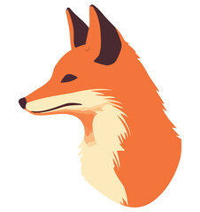 Obraz premium Fluffy fox puppy