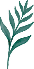 watercolor leaves, vector, design, illustration, graphic
