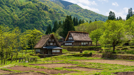 Fototapeta na wymiar World heritage site Gokayama Ainokura Village at Toyama, Japan.