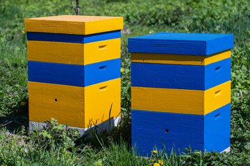 Two new set of yellow-blue wooden beehive in the spring garden, closeup