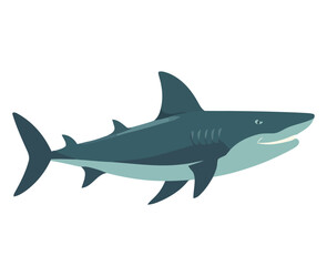 Swimming shark illustration