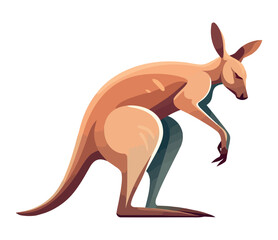Cute wallaby standing in grass