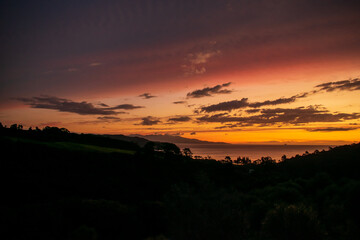 Beautiful landscape of Great Barrier Island, New Zealand