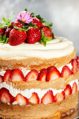Victoria Sponge Cake with delicious Chantilly cream and fresh strawberries
