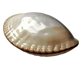 Seashell natures underwater decoration in white